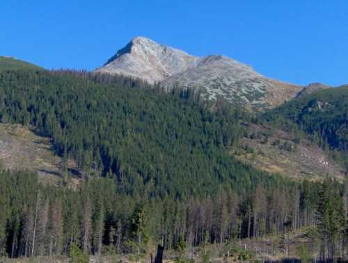 Легендарная Крывань.